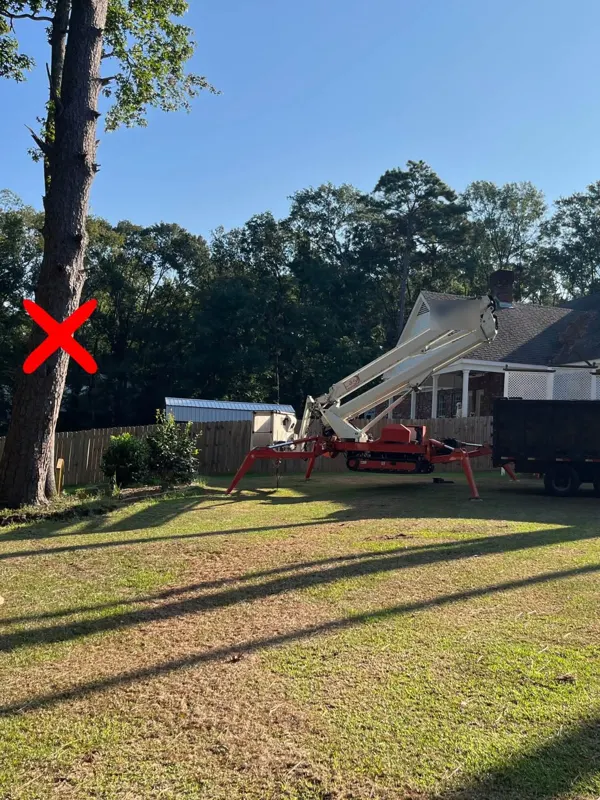 Tracked aerial lift with outriggers set up beside a house, next to a tree marked for removal and a dump trailer