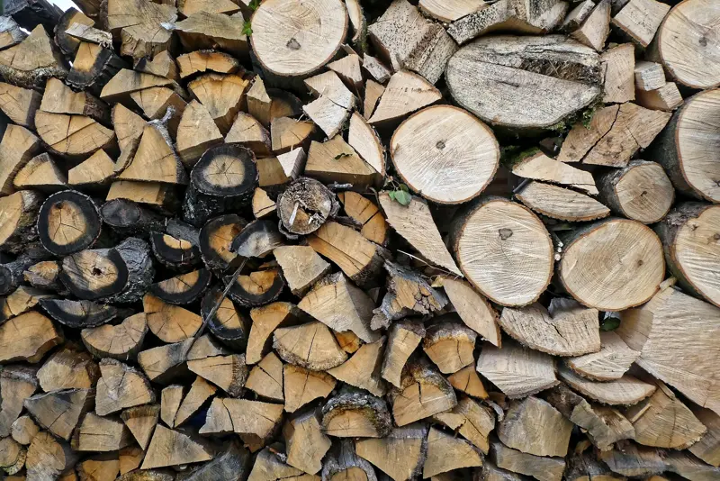 Neatly stacked logs cut from removed trees